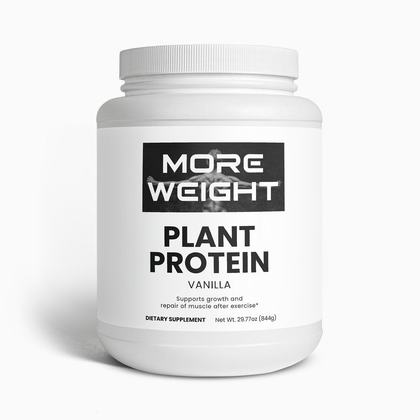 Plant Protein (Vanilla)